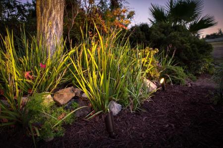 Landscape Lighting Design